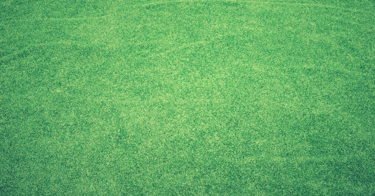 Grass